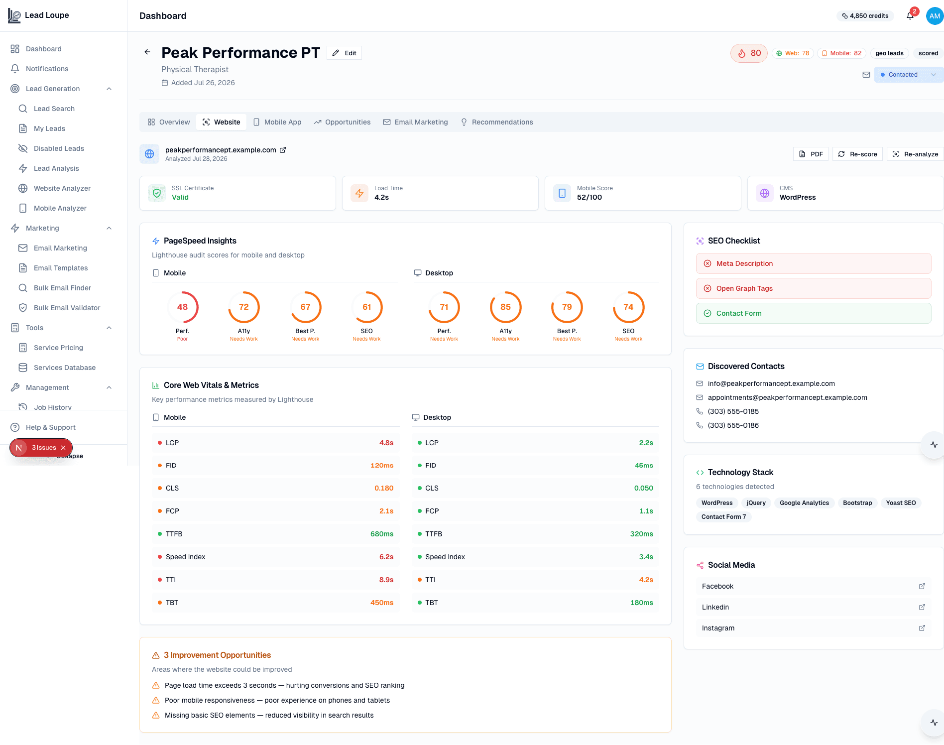 Lead detail with website opportunity insights
