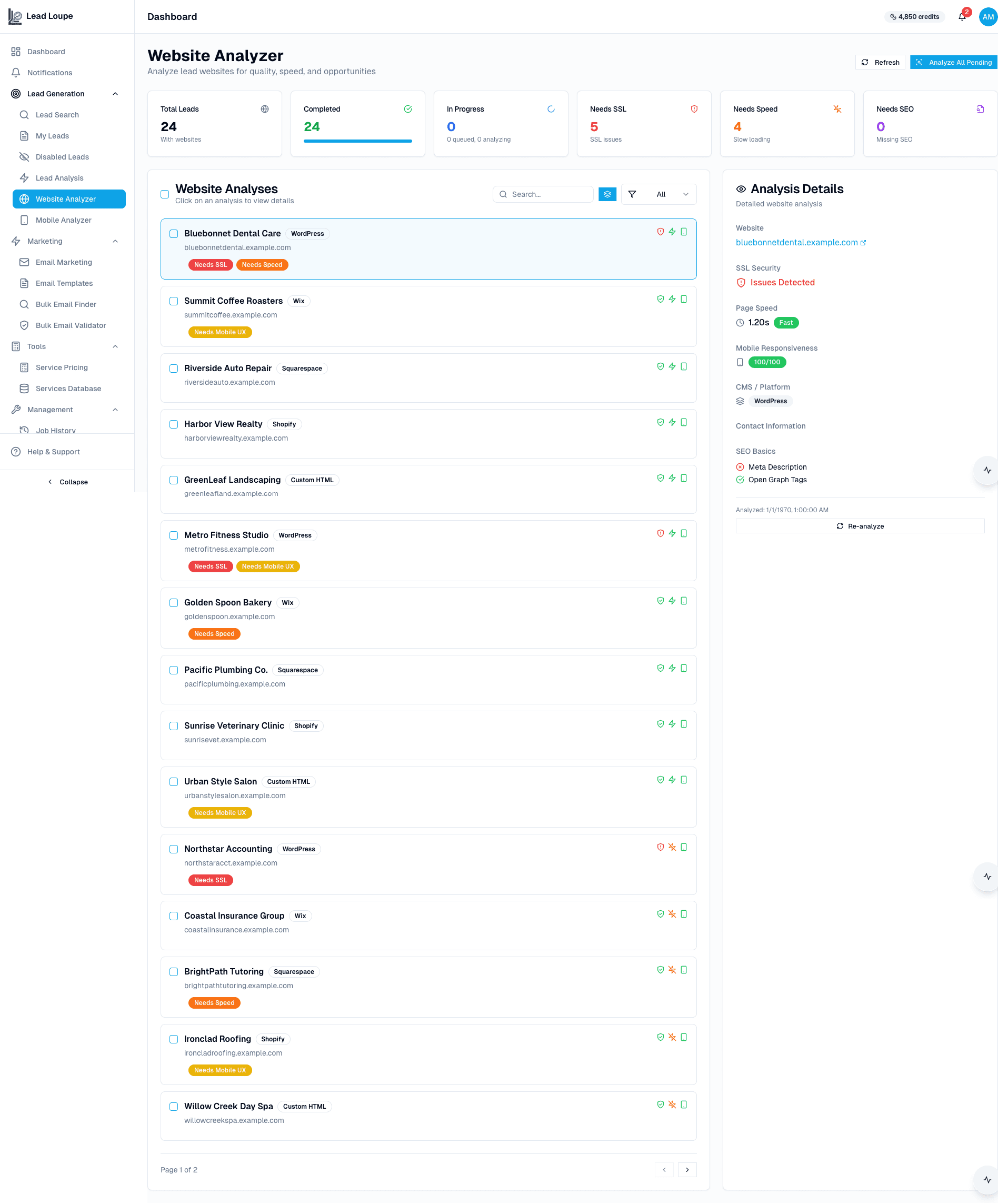 Website analyzer with quality checks and scores